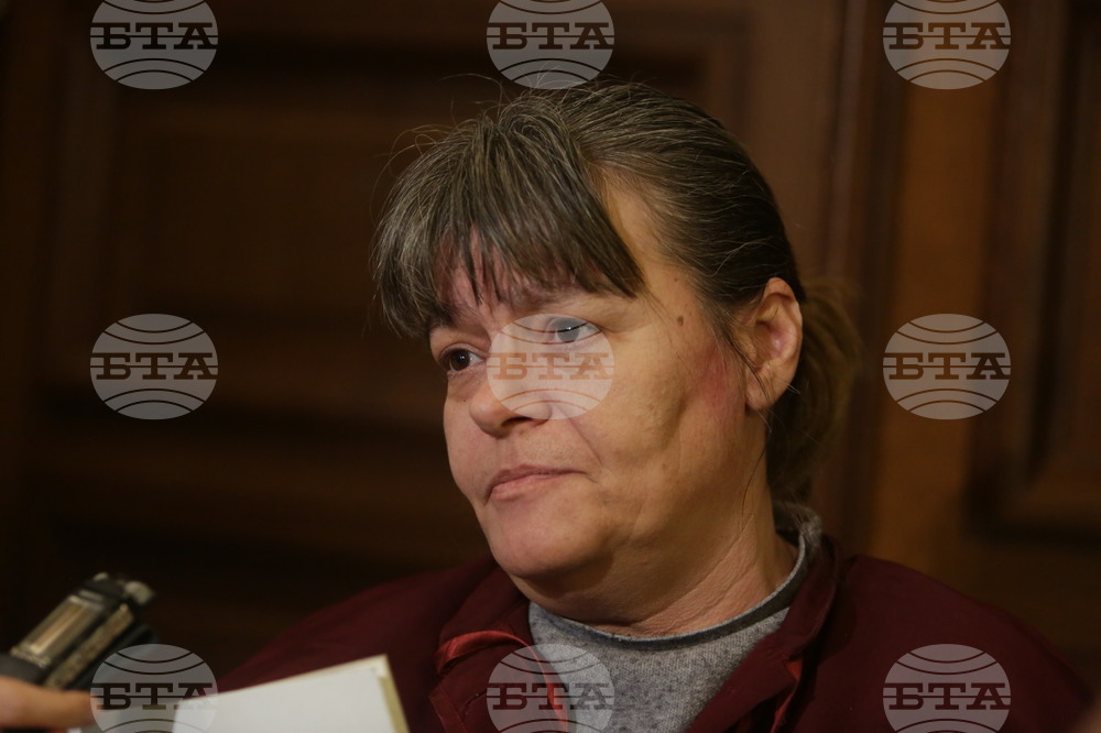 Румен Тонев - дело - Ирена Ганчева