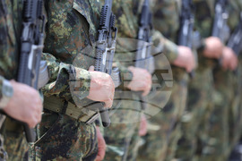 Русе - празник на града