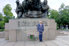 Видин - Ден на храбростта - почит