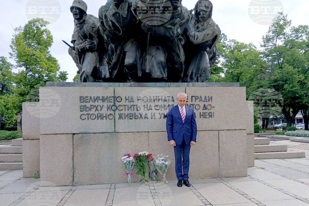 Видин - Ден на храбростта - почит