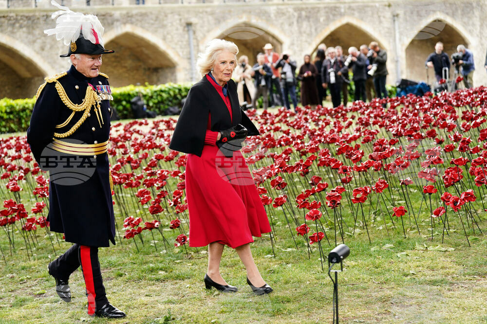 Britain Royals