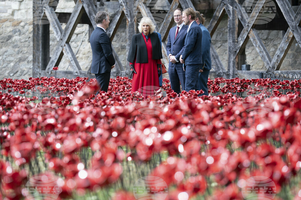 Britain Royals
