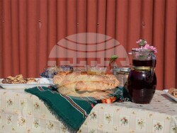 Община Видин: Честване на Трифон Зарезан в град Дунавци