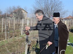 Община Видин: Честване на Трифон Зарезан в град Дунавци