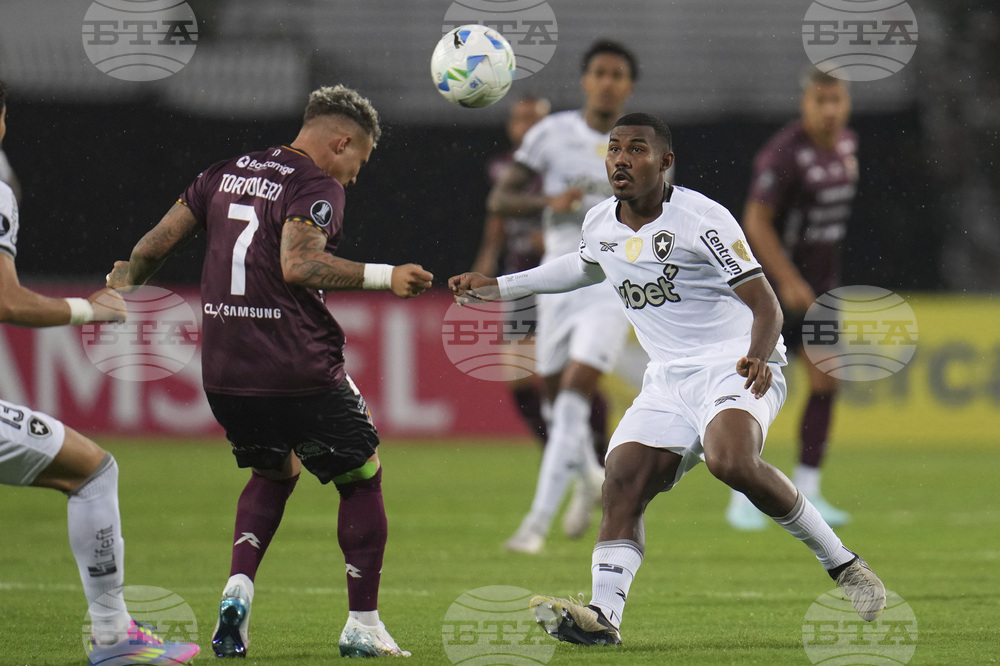 Venezuela Brazil Soccer Copa Libertadores