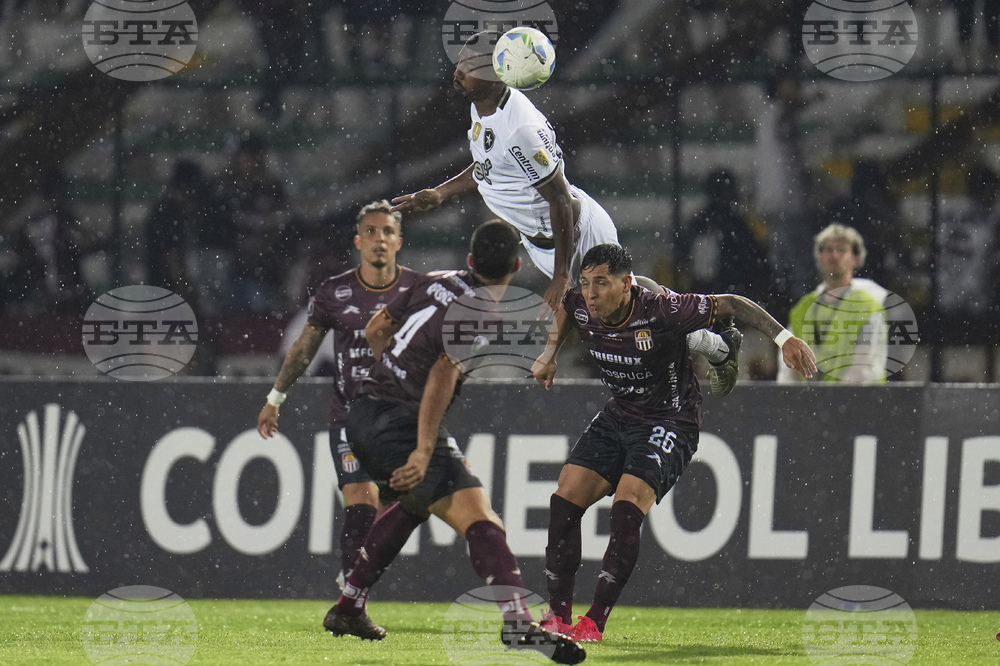 Venezuela Brazil Soccer Copa Libertadores