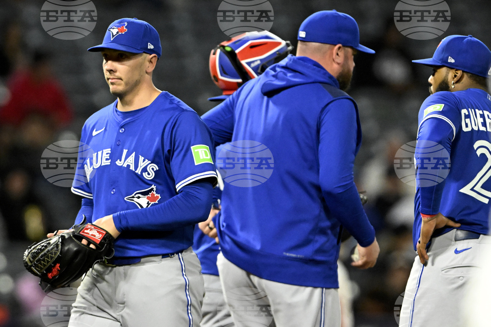 Blue Jays Angels Baseball