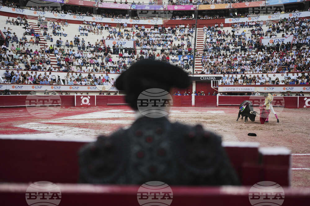 Mexico Bullfighting