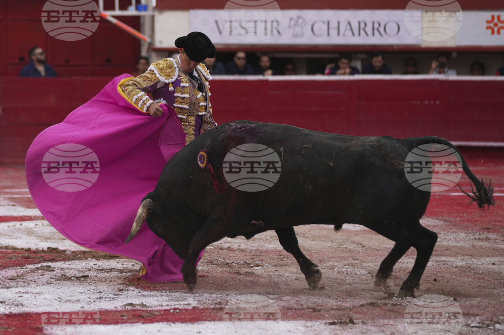 Mexico Bullfighting