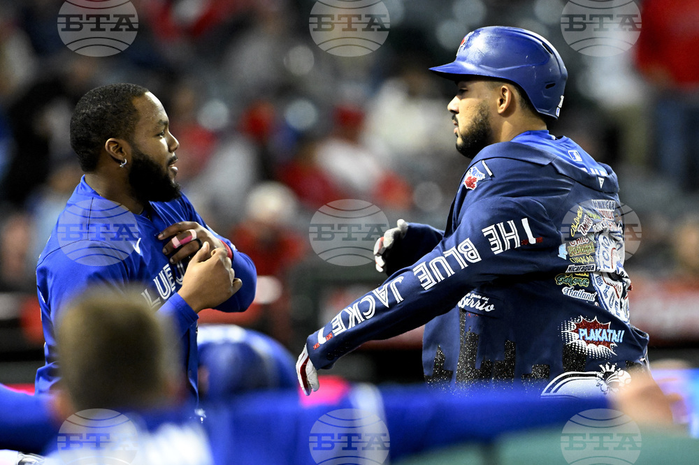 Blue Jays Angels Baseball