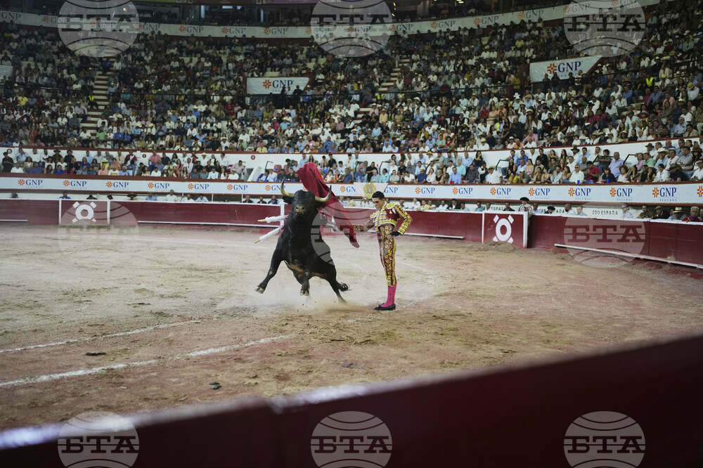 Mexico Bullfighting