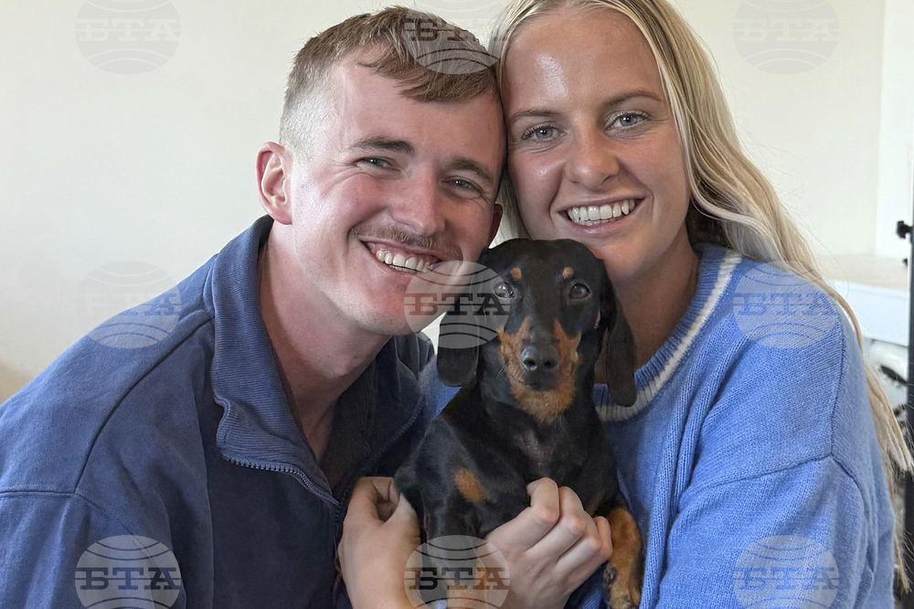 Australia Lost Dachshund