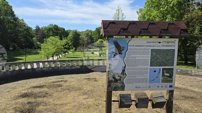 Одобрени са средства за проектно-проучвателни дейности за укрепване на свлачище в местността Кайлъка в Плевен