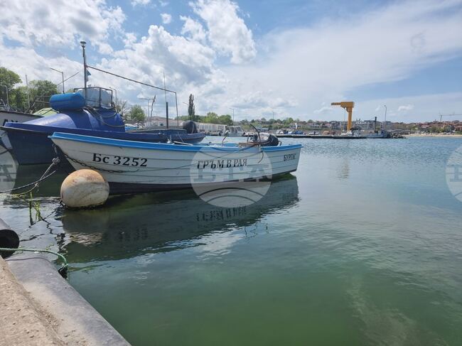 Kraimorie Port Recognized for Clean Waters and Modern Facilities with 2025 Blue Flag Award