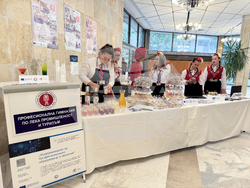 Казанлък - панорама на професионалното образование