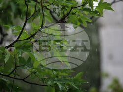 Бургас - дъжд - градушка