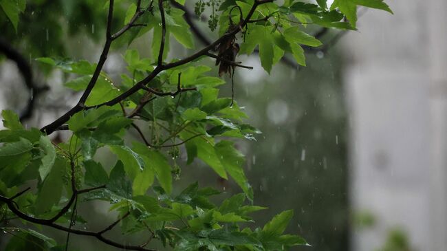 The Weather on May 24-25