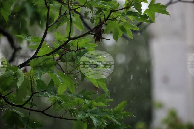 The Weather on May 24-25