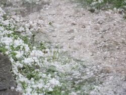 Бургас - дъжд - градушка