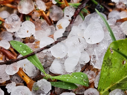 Ардино - градушка