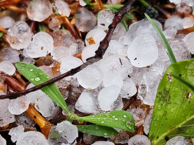 Повече от десет села в област Ямбол пострадаха от градушка