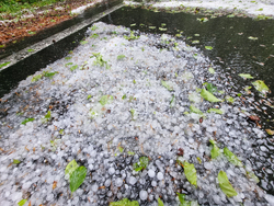 Ардино - градушка