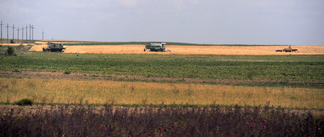Аджерпрес: 23 процента е делът на Румъния в селскостопанската работна сила на ЕС