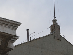 Vatican Conclave