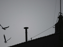 Vatican Conclave
