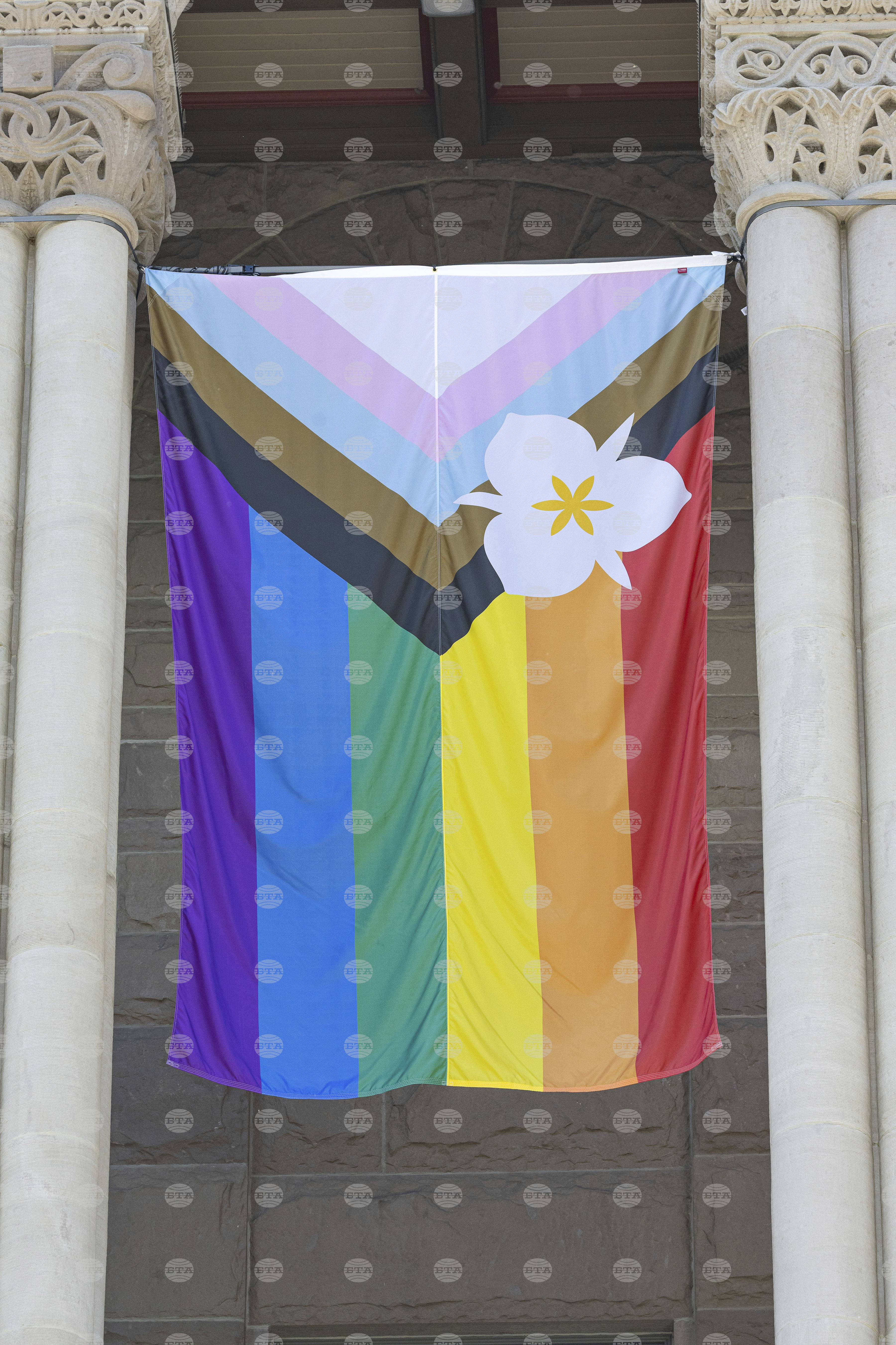 Pride Flag Alternative