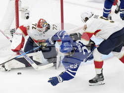 Panthers Maple Leafs Hockey