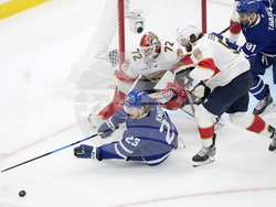 Panthers Maple Leafs Hockey