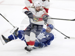 Panthers Maple Leafs Hockey