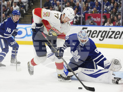 Panthers Maple Leafs Hockey