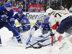 Panthers Maple Leafs Hockey