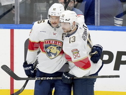 Panthers Maple Leafs Hockey