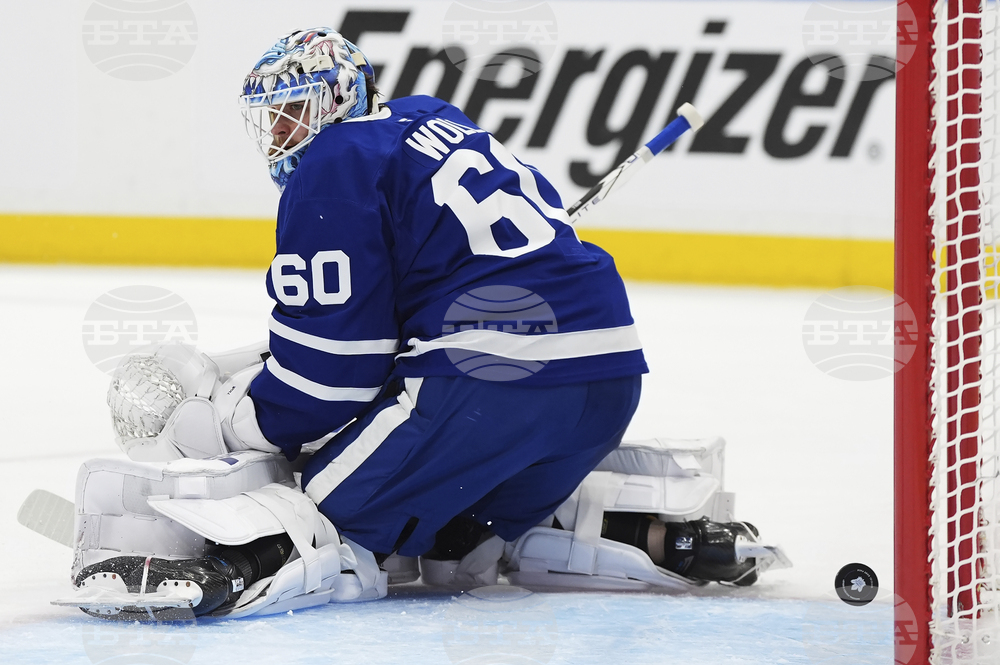 Panthers Maple Leafs Hockey