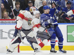 Panthers Maple Leafs Hockey