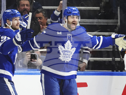 Panthers Maple Leafs Hockey