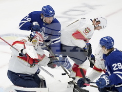 Panthers Maple Leafs Hockey