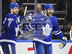 Panthers Maple Leafs Hockey