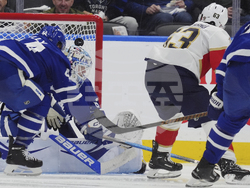 Panthers Maple Leafs Hockey