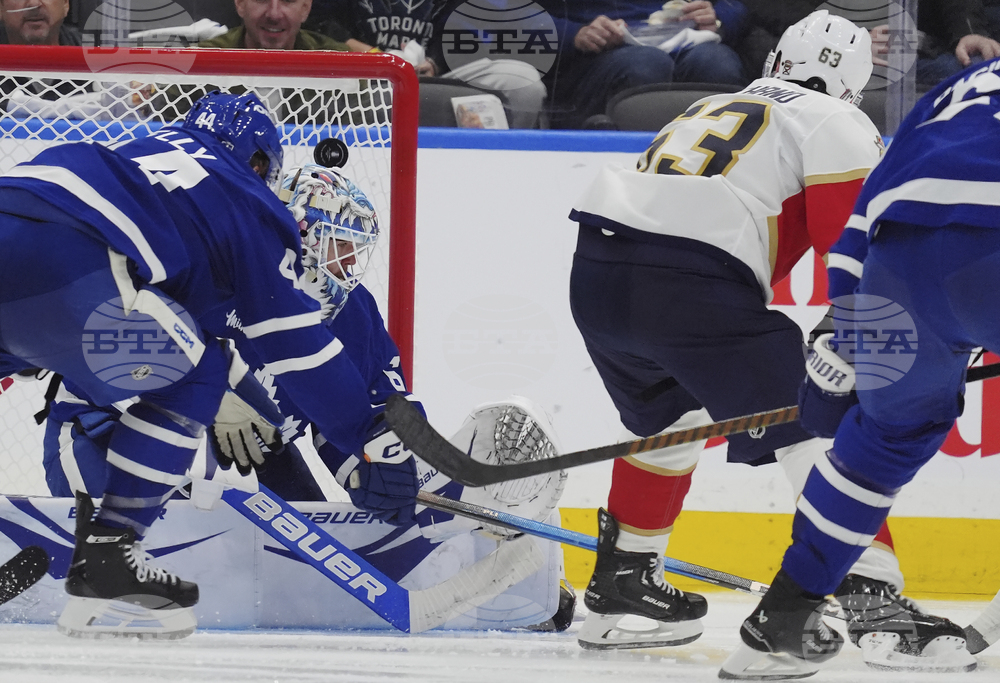 Panthers Maple Leafs Hockey