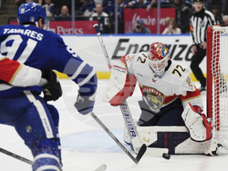 Panthers Maple Leafs Hockey