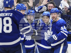 Panthers Maple Leafs Hockey