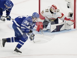 Panthers Maple Leafs Hockey