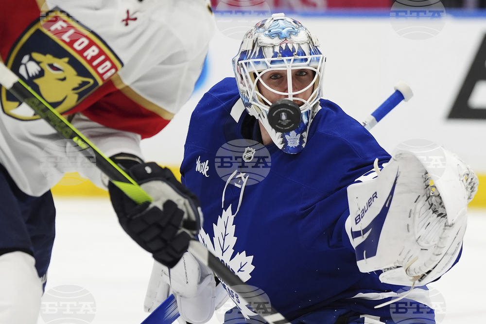 Panthers Maple Leafs Hockey