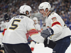 Panthers Maple Leafs Hockey