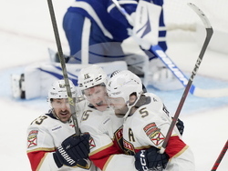 Panthers Maple Leafs Hockey