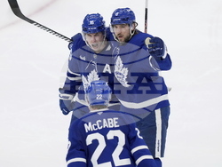 Panthers Maple Leafs Hockey